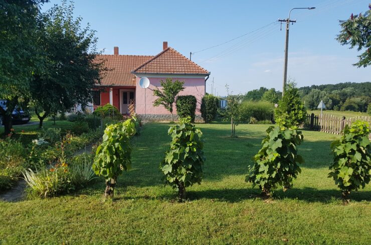 Ungarn: Garabonc schönes Einfamilienhaus mit viel Platz