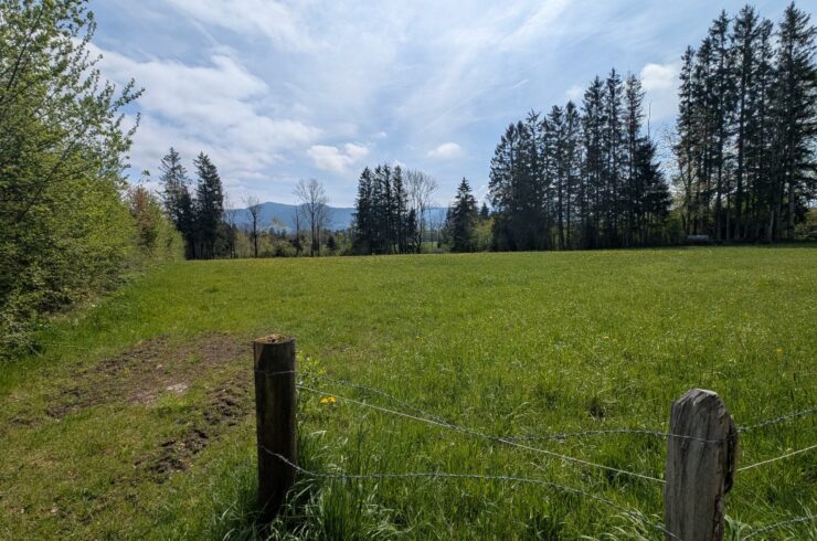 Wackersberg: Wiese/Grund in sehr guter sonniger Lage